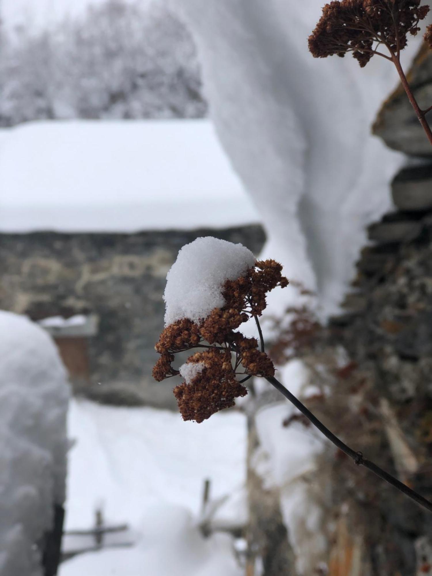 Old House Hotel Ushguli ภายนอก รูปภาพ